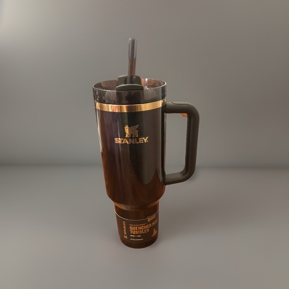 NWT Rare Stanley x Wicked 40oz The FlowState Quencher Tumbler Elphaba For Good - Picture 3 of 3